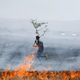 A man holds a branch as he ties to extinguish a fire at Lake Nakuru National Park in the Rift Valley in Nakuru, west of Nairobi, 2008.